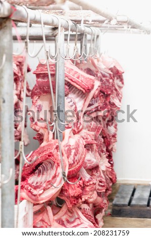 abattoir hanging from metal hooks on rail in cold room on meat industry