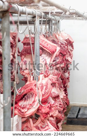 Butcher products. Processed pigs hanging in slaughter house on meat industry