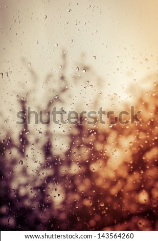Rain drops on glass with blurred tree at back