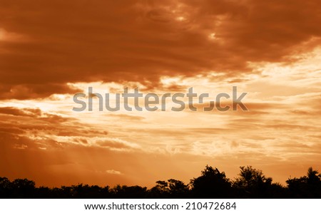 Beautiful landscape of sunset with tree silhouette.