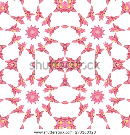 Colorful seamless pattern made from beautiful pink lotus blossom  texture background