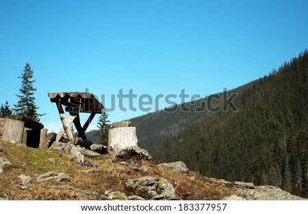 Picnic place on Sambata valley ,Fagaras mountains,Romania.