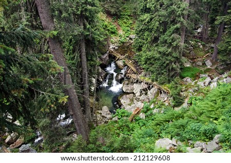 Mountain stream,top view.Retezat Mountains,Romania.