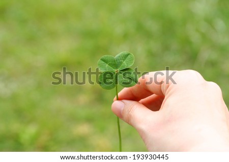 A four leaf clover in hand