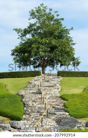 Asian Garden Stone staircase with wood railing