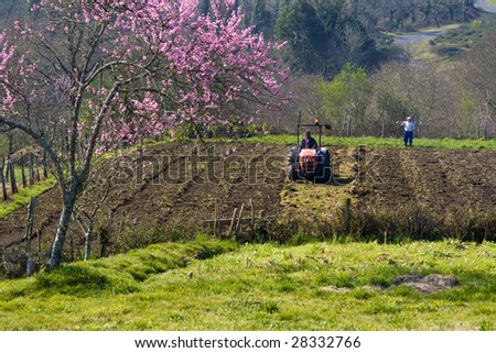 Tractor and people working in a field