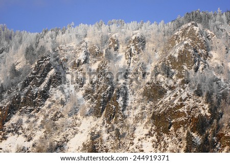 Frosty mountains on the shore of Yenisei river. Sunny winter day, snowed forest, rocky cliffs. Town of Divnogorsk (Krasnoyarski krai, Siberia, Russia). January 14, 2015.