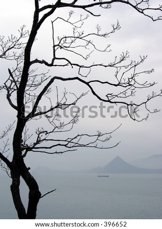 Silhouette Of Japan Tree