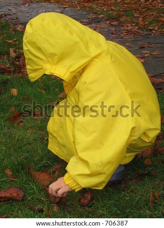 Boy in raincoat picking chestnuts in a yellow raincoat