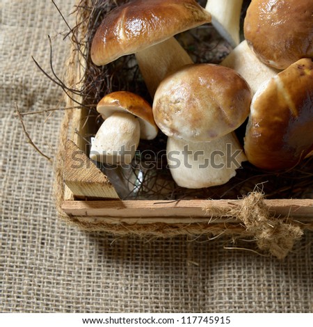 wild mushrooms in a wooden box