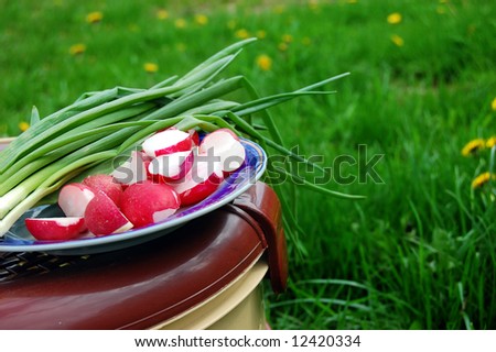 reddish and green onion, food basket on nature