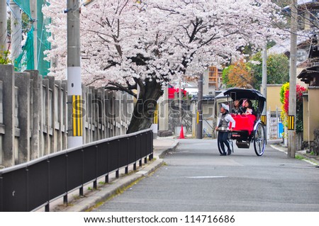 KYOTO, JAPAN - APRIL 10 : A man offering rickshaw service stops to let his customers appreciate Sakura (Cherry blossom) in Kyoto, Japan on April 10 2012. Sakura viewing is a Japanese tradition.