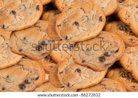 Many chocolate chip cookies fresh and ready to eat