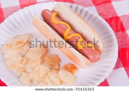 Hot Dog and potato chips on a paper plate