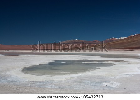 Laguna Blanca in the Eduardo Avaroa Andean Fauna National Reserve in Bolivia
