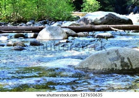 River scenery close up