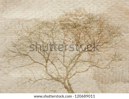 Vintage style background of tree graphic on old paper