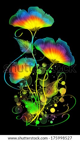 Three beautiful rainbow flowers on a black background.
