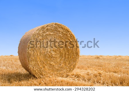 bale pressed from straw after harvest on blue sky backgound with copyspace