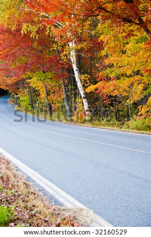 Colorful autumn foliage along a country road in New England