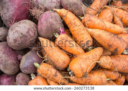 Dirty vegetables harvested for winter storage