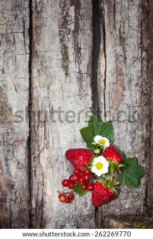Old rotten boards and garden berries. background