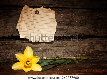 Yellow flower and a sheet of paper on wooden background