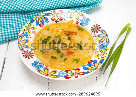 Cabbage soup with fresh cabbage in a colored dish. Baby food