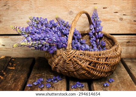 Flower arrangement with purple lupine in the old basket