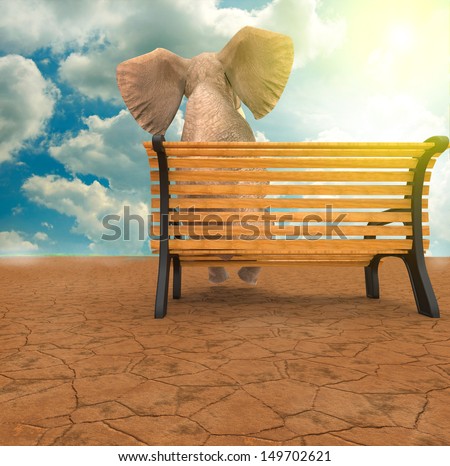 Elephant sitting