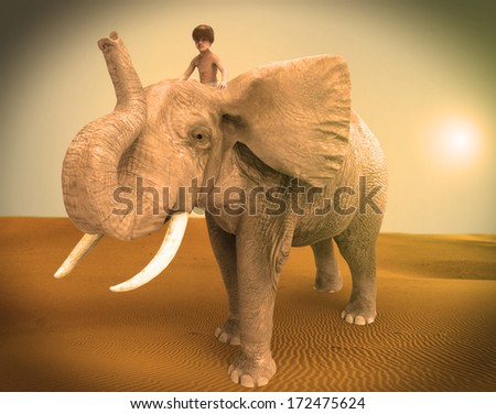 Child sitting above an elephant