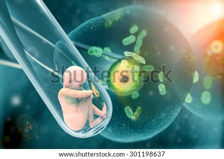 Fertilization, human cloning