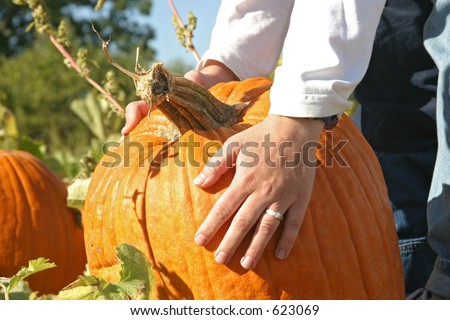 a woman\'s hand picking a pumpkin