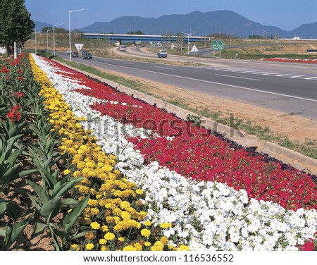 Colorful flowers decorated alongside a highway