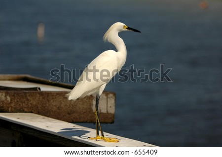 dock railing