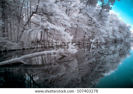 IR photo/Katzebachsee IR/A surreal scene in Infrared, nature mirrored in the water