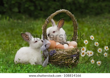Easter Rabbits near an easter basket with eggs Easter Rabbits near an easter basket with eggs