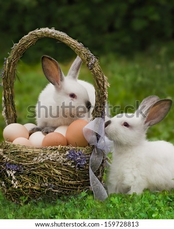 Easter Basket With Eggs And The Easter Bunny