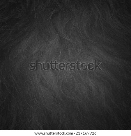 black animal hair