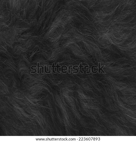 animal hair