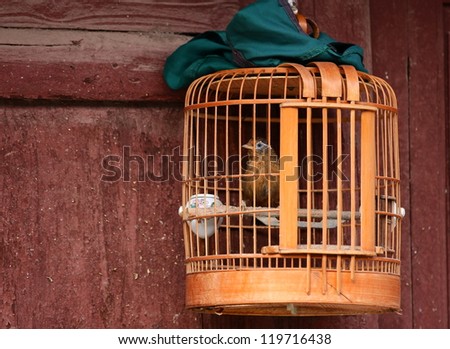 Wooden bird cage under a green cloth cover, hanging on a red painted door of a house in a street of the old town Weishan, Yunnan, China.