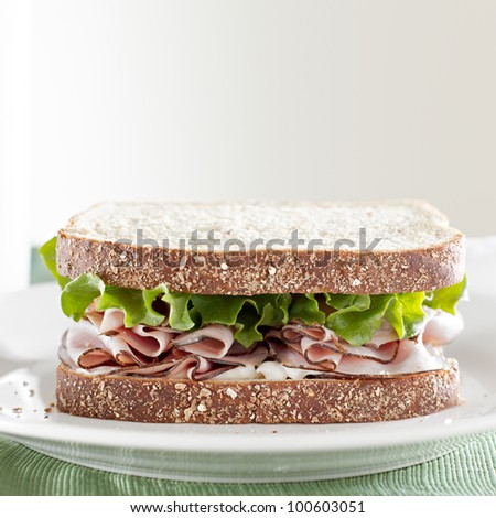 deli meat sandwich with ham, lettuce and mayo with copy space composition
