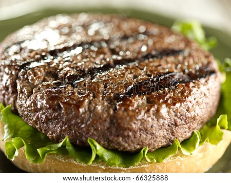 juicy hamburger patty closeup  (note-selective focus)