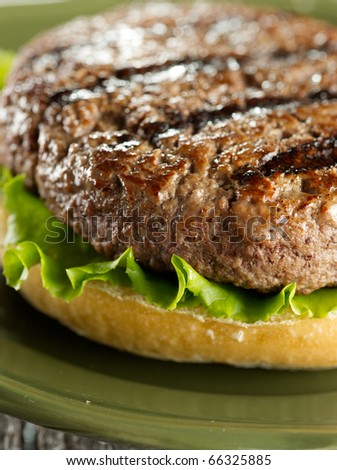 juicy hamburger patty closeup  (note-selective focus)