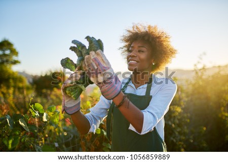 young african american woman inpsecting beets just pulled from the dirt in community urban garden