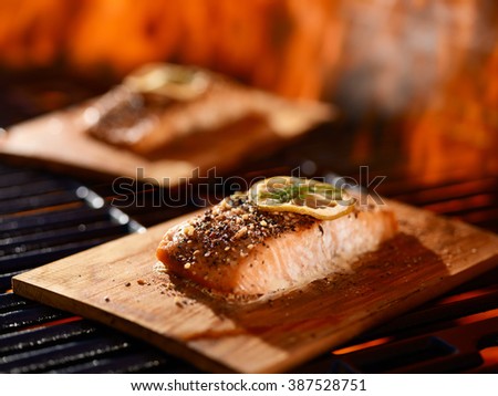 cedar plank salmon with lemon and dill garnish cooking on grill