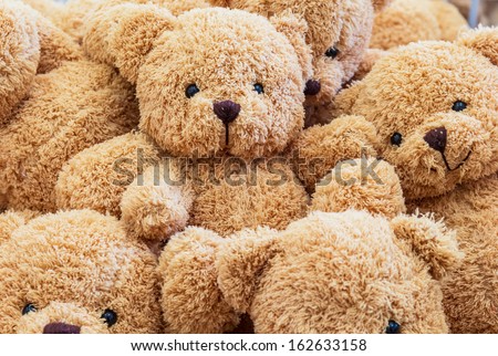 Baby bear dolls for your gift