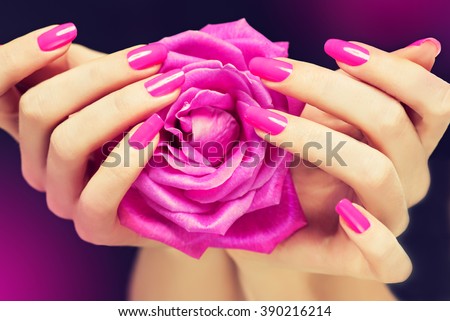 Elegant female hands with pink manicure on the nails . Beautiful fingers holding a rose .
