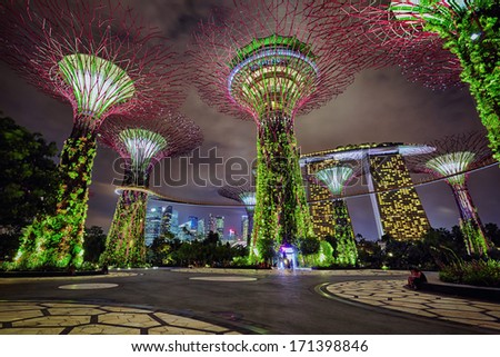 Singapore - December 02: Night View On Gardens By The Bay On December 02, 2013 In Singapore. Gardens By The Bay Is A Part Of A Plan To Transform Singapore From A &Quot;Garden City&Quot; To A &Quot;City In A Garden&Quot;. Stock Photo 171398