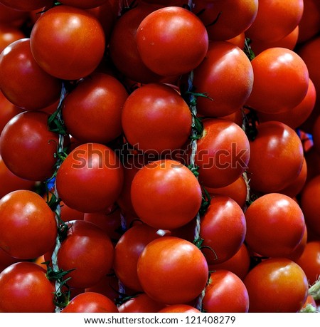 Red tomatoes close up, red background. Food background. Pattern. Red texture. Tomatoes close up. Harvest. Autumn background. Food. Vitamins